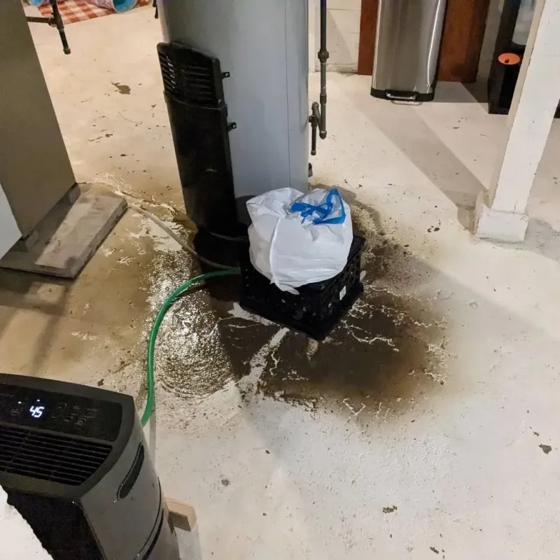Sewage Backup Cleanup Service in Apache County, AZ